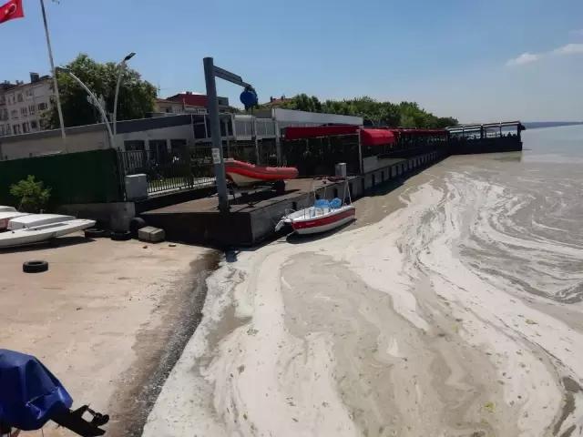 İzmit Körfezi'nde müsilaj temizleme çalışmaları sürüyor İzmit Körfezi'nde müsilaj temizleme çalışmaları sürüyor