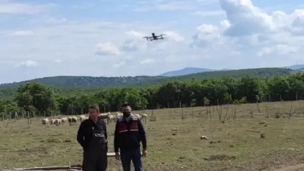 Jandarma kaybolan koyunları dronla buldu Jandarma kaybolan koyunları dronla buldu