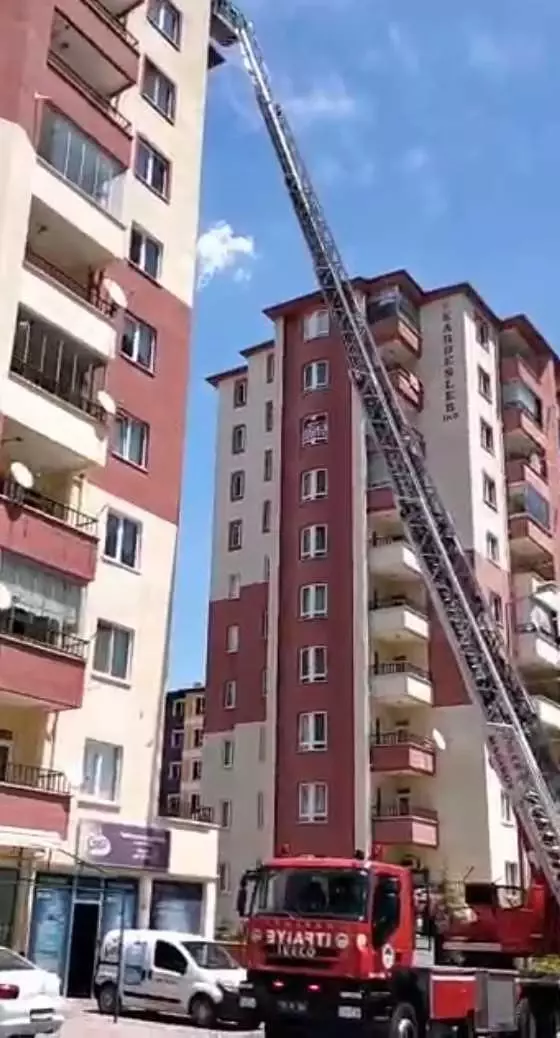 Çatı oluğunda ipe dolanan kırlangıç ve kuyuya düşen tilki yavrusu kurtarıldı Çatı oluğunda ipe dolanan kırlangıç ve kuyuya düşen tilki yavrusu kurtarıldı