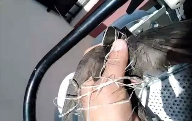 Çatı oluğunda ipe dolanan kırlangıç ve kuyuya düşen tilki yavrusu kurtarıldı Çatı oluğunda ipe dolanan kırlangıç ve kuyuya düşen tilki yavrusu kurtarıldı