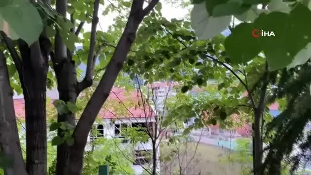 Son dakika haber! Kedinin kargalarla imtihanı kamerada Son dakika haber! Kedinin kargalarla imtihanı kamerada