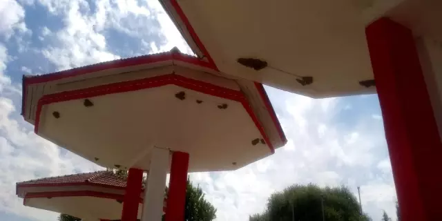 Kırlangıçlar akaryakıt istasyonunu mesken tuttu Kırlangıçlar akaryakıt istasyonunu mesken tuttu