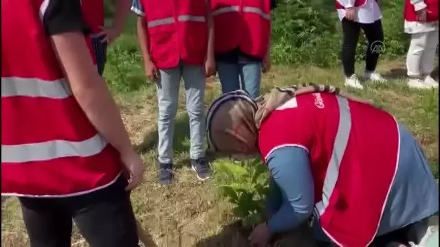 Kızılayın kuruluşunun 153. yılı anısına hatıra ormanı oluşturuldu Kızılayın kuruluşunun 153. yılı anısına hatıra ormanı oluşturuldu