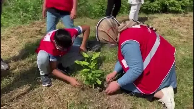 Kızılayın kuruluşunun 153. yılı anısına hatıra ormanı oluşturuldu Kızılayın kuruluşunun 153. yılı anısına hatıra ormanı oluşturuldu