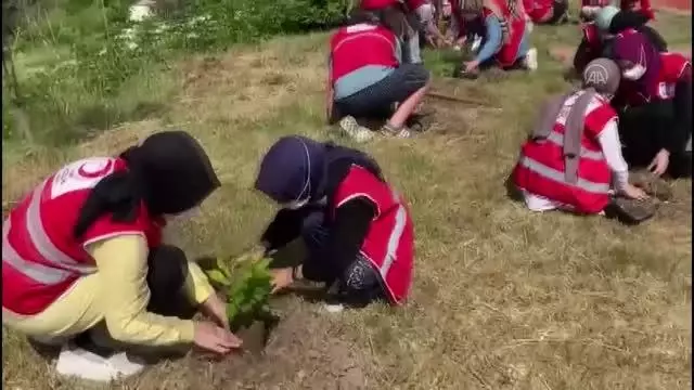 Kızılayın kuruluşunun 153. yılı anısına hatıra ormanı oluşturuldu Kızılayın kuruluşunun 153. yılı anısına hatıra ormanı oluşturuldu
