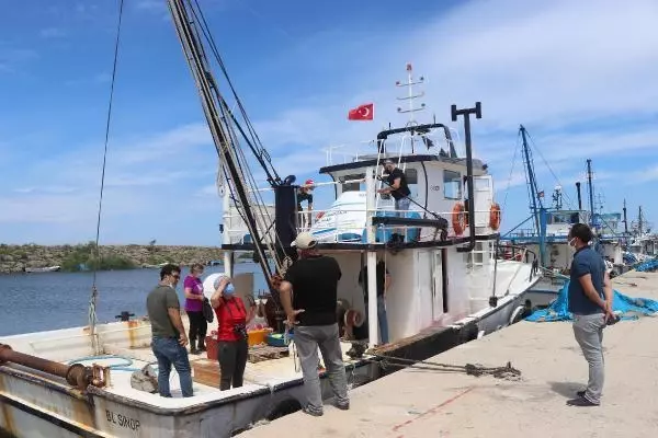 SAMSUN KIZILIRMAK DELTASI'NDA 26 İSTİLACI TÜR KEŞFEDİLDİ SAMSUN KIZILIRMAK DELTASI'NDA 26 İSTİLACI TÜR KEŞFEDİLDİ