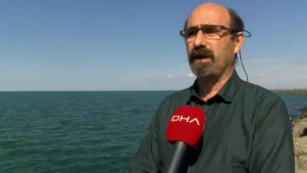 SAMSUN KIZILIRMAK DELTASI'NDA 26 İSTİLACI TÜR KEŞFEDİLDİ SAMSUN KIZILIRMAK DELTASI'NDA 26 İSTİLACI TÜR KEŞFEDİLDİ