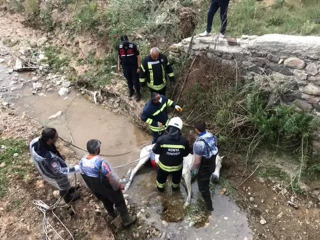 Konya'da itfaiyeden at kurtarma operasyonu Konya'da itfaiyeden at kurtarma operasyonu