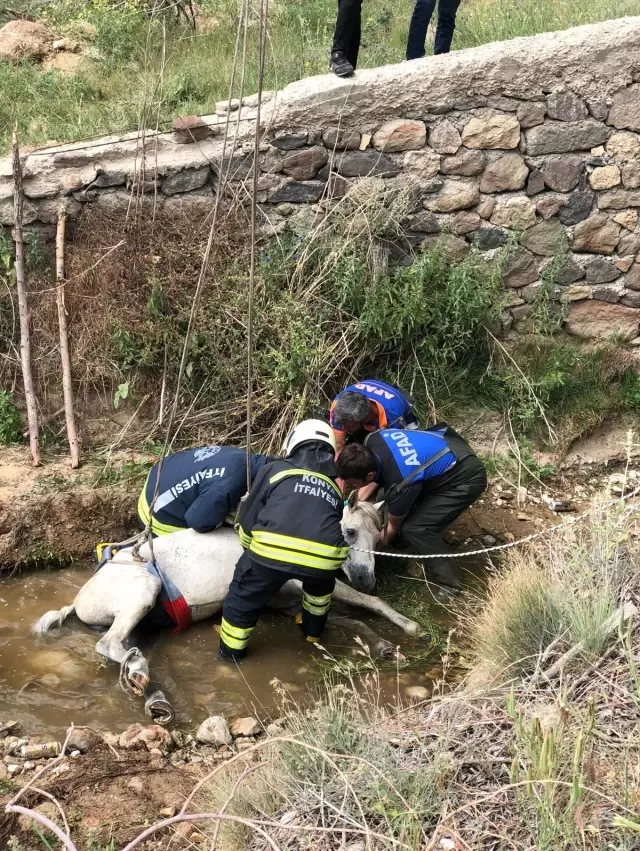 Konya'da itfaiyeden at kurtarma operasyonu Konya'da itfaiyeden at kurtarma operasyonu
