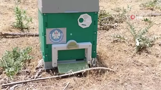 Manisa Büyükşehir'den arıcılık ekonomisine büyük destek Manisa Büyükşehir'den arıcılık ekonomisine büyük destek
