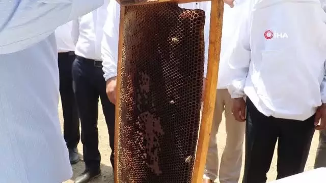 Manisa Büyükşehir'den arıcılık ekonomisine büyük destek Manisa Büyükşehir'den arıcılık ekonomisine büyük destek