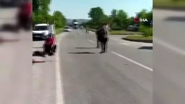 Motosikletli sürücü iş kamyonu ile çarpıştı: 2 ağır yaralı Motosikletli sürücü iş kamyonu ile çarpıştı: 2 ağır yaralı