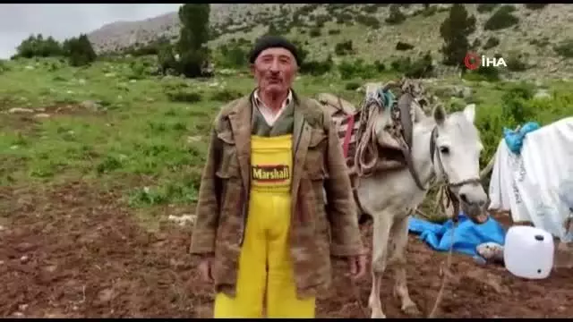 Münevver teyzenin yol isteği gerçek oldu Münevver teyzenin yol isteği gerçek oldu