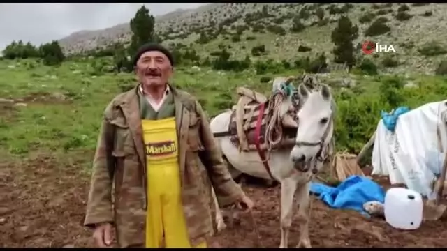 Münevver teyzenin yol isteği gerçek oldu Münevver teyzenin yol isteği gerçek oldu