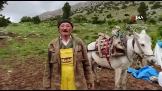 Münevver teyzenin yol isteği gerçek oldu Münevver teyzenin yol isteği gerçek oldu