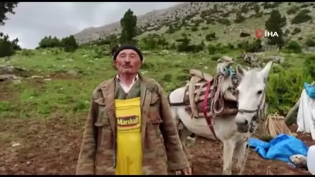 Münevver teyzenin yol isteği gerçek oldu Münevver teyzenin yol isteği gerçek oldu