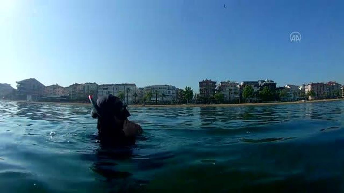 Son dakika haberi! Müsilajın deniz tabanına verdiği tahribat dalgıçların kamerasına yansıdı