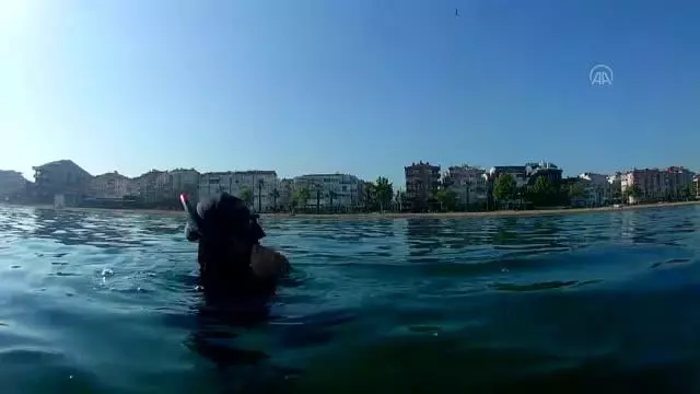 Son dakika haberi! Müsilajın deniz tabanına verdiği tahribat dalgıçların kamerasına yansıdı Son dakika haberi! Müsilajın deniz tabanına verdiği tahribat dalgıçların kamerasına yansıdı