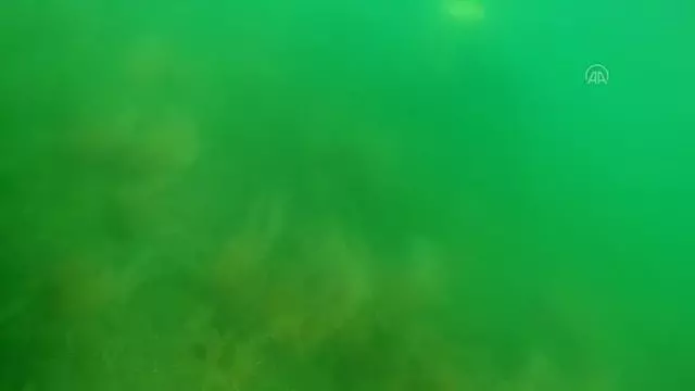 Son dakika haberi! Müsilajın deniz tabanına verdiği tahribat dalgıçların kamerasına yansıdı Son dakika haberi! Müsilajın deniz tabanına verdiği tahribat dalgıçların kamerasına yansıdı