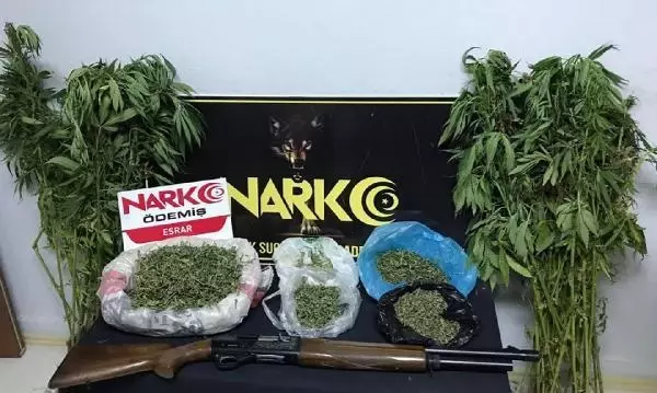 Son dakika... Ödemiş'te uyuşturucu operasyonu, 1 gözaltı Son dakika... Ödemiş'te uyuşturucu operasyonu, 1 gözaltı