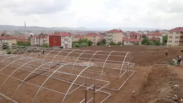 Öğretmen ve öğrenciler okul bahçesinde sebze üretmeye başladı Öğretmen ve öğrenciler okul bahçesinde sebze üretmeye başladı