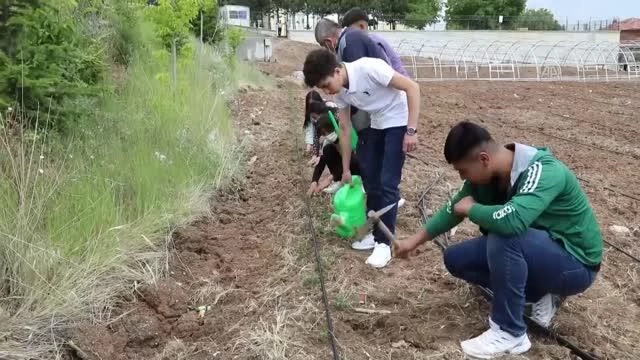 Öğretmen ve öğrenciler okul bahçesinde sebze üretmeye başladı