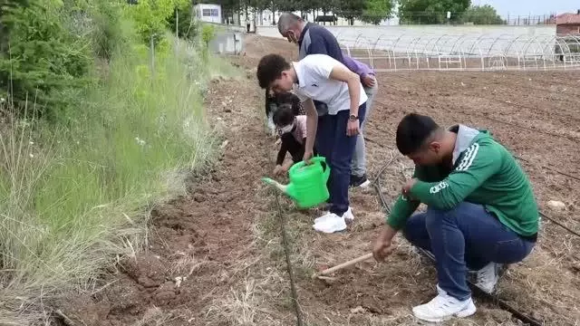Öğretmen ve öğrenciler okul bahçesinde sebze üretmeye başladı Öğretmen ve öğrenciler okul bahçesinde sebze üretmeye başladı