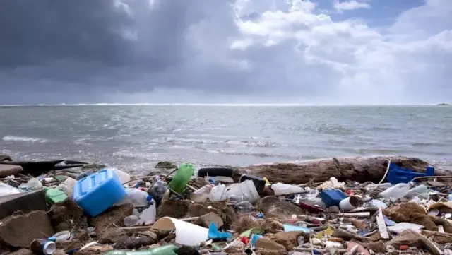 Okyanuslarda bulunan plastik çöplerin neredeyse yarısı 'paket yiyecek ve içecek kaynaklı' Okyanuslarda bulunan plastik çöplerin neredeyse yarısı 'paket yiyecek ve içecek kaynaklı'