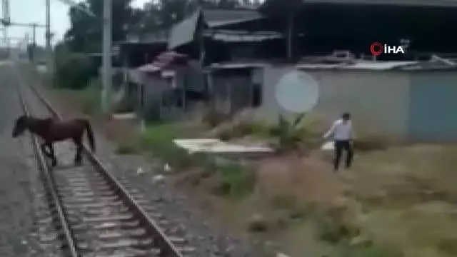 Son dakika haberi... Ölüme terk edilen atı makinistler kurtardı Son dakika haberi... Ölüme terk edilen atı makinistler kurtardı