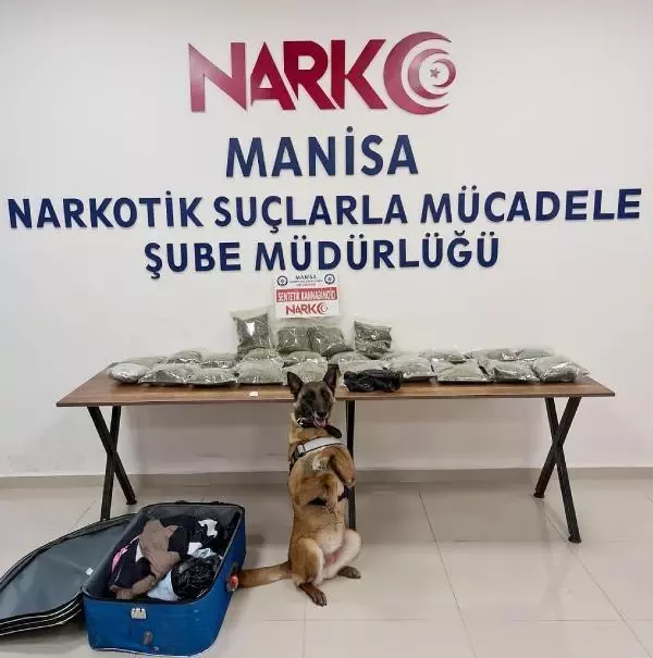Otomobilde 12 kilo bonzai ele geçti Otomobilde 12 kilo bonzai ele geçti
