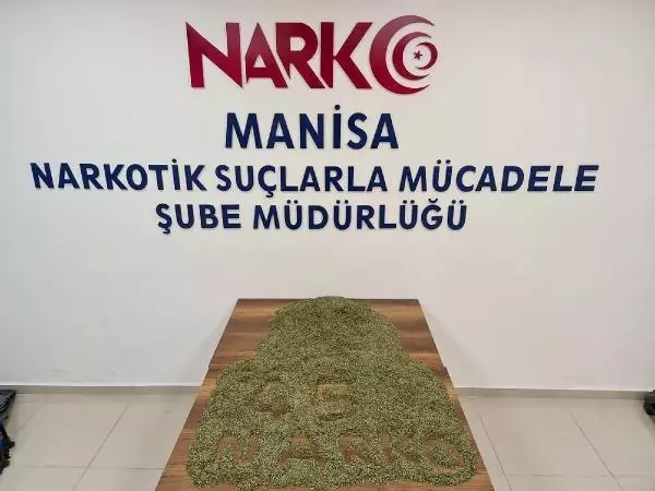 Otomobilde 12 kilo bonzai ele geçti Otomobilde 12 kilo bonzai ele geçti