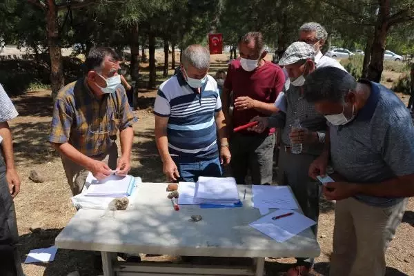 ÖZEL ARAZİDEKİ AĞAÇ KESİMİ TEPKİ ÇEKTİ ÖZEL ARAZİDEKİ AĞAÇ KESİMİ TEPKİ ÇEKTİ