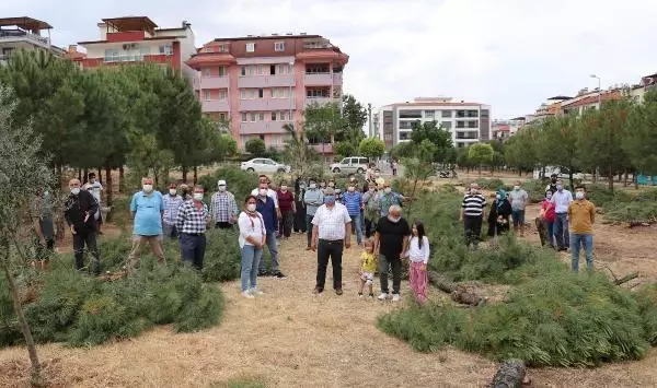 ÖZEL ARAZİDEKİ AĞAÇ KESİMİ TEPKİ ÇEKTİ ÖZEL ARAZİDEKİ AĞAÇ KESİMİ TEPKİ ÇEKTİ