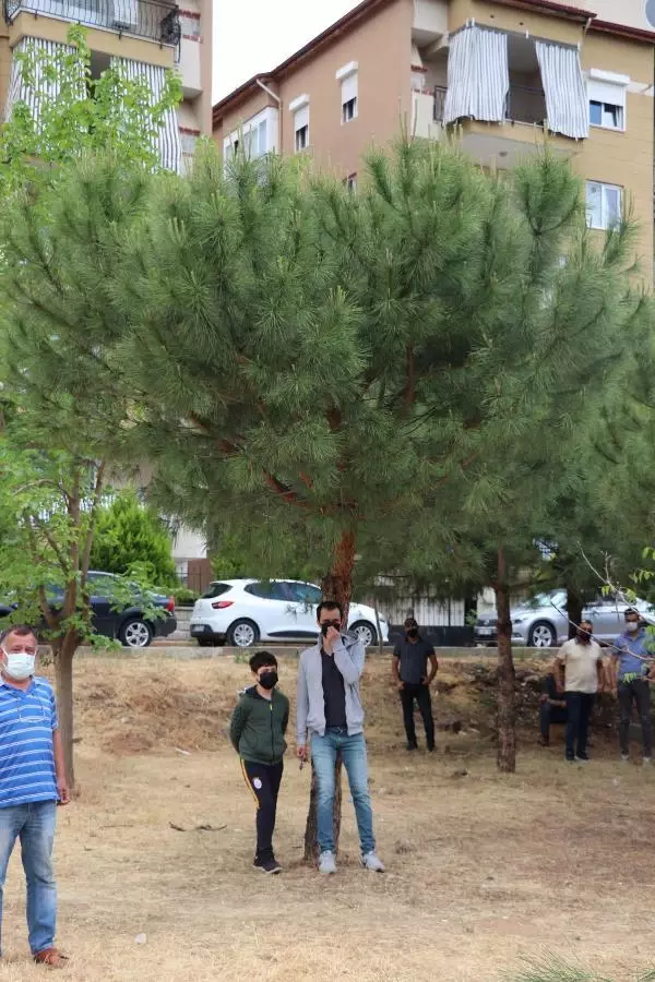 ÖZEL ARAZİDEKİ AĞAÇ KESİMİ TEPKİ ÇEKTİ ÖZEL ARAZİDEKİ AĞAÇ KESİMİ TEPKİ ÇEKTİ