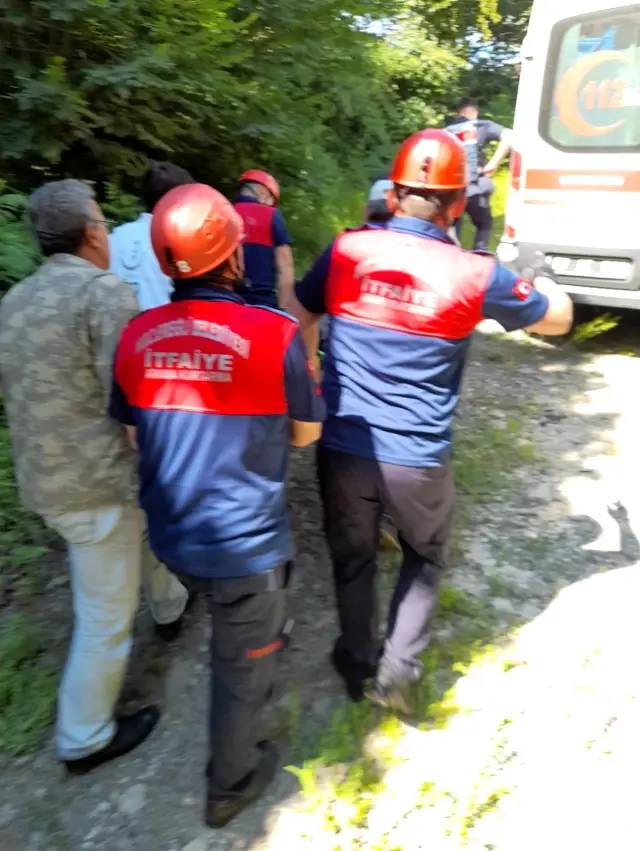 Pat pat uçurumdan yuvarlandı: 2 yaralı Pat pat uçurumdan yuvarlandı: 2 yaralı