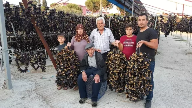 Son dakika yerel: Patlıcan Vadisi öksüz kaldı, Turgut Karaefe hayatını kaybetti Son dakika yerel: Patlıcan Vadisi öksüz kaldı, Turgut Karaefe hayatını kaybetti