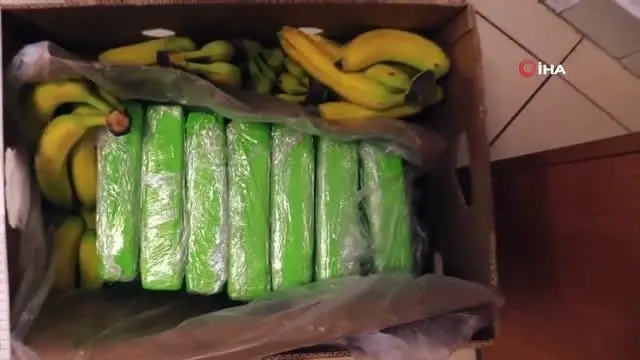 Polonya'da muz kolilerinden 160 kilogram kokain çıktıPiyasa değeri 30 milyon zloti Polonya'da muz kolilerinden 160 kilogram kokain çıktıPiyasa değeri 30 milyon zloti