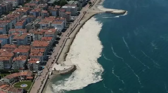 Salya akınıyla ilgili ilginç iddia...Adalar Bölgesi'ndeki fay hatları araştırılsın Salya akınıyla ilgili ilginç iddia...Adalar Bölgesi'ndeki fay hatları araştırılsın