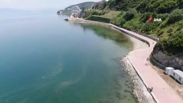 Salya akınıyla ilgili ilginç iddia...Marmara'daki balıkçılardan salya ile ilgili fay hattı uyarısı Salya akınıyla ilgili ilginç iddia...Marmara'daki balıkçılardan salya ile ilgili fay hattı uyarısı