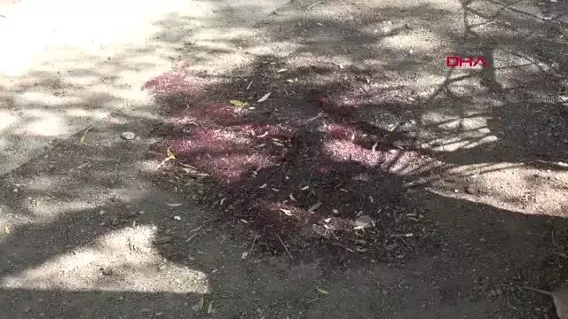 Son dakika! Barakada tartıştığı 3 arkadaşını tabancayla öldürdü Son dakika! Barakada tartıştığı 3 arkadaşını tabancayla öldürdü