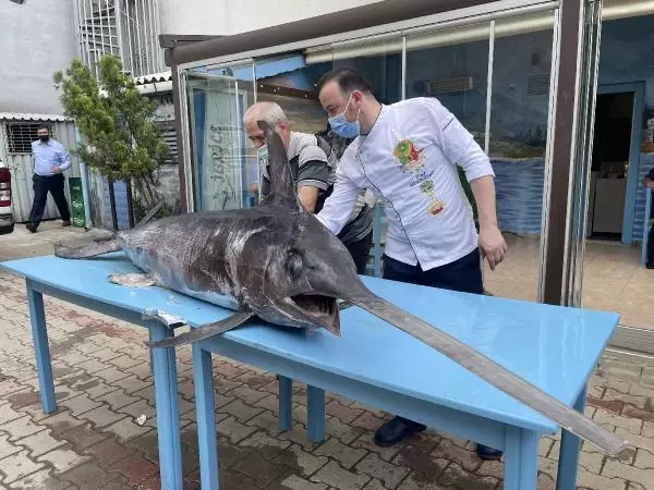 Saros Körfezi'nde yakalanan dev kılıç balığı ilgi gördü Saros Körfezi'nde yakalanan dev kılıç balığı ilgi gördü