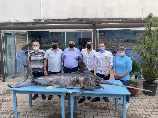 Saros Körfezi'nde yakalanan dev kılıç balığı ilgi gördü Saros Körfezi'nde yakalanan dev kılıç balığı ilgi gördü