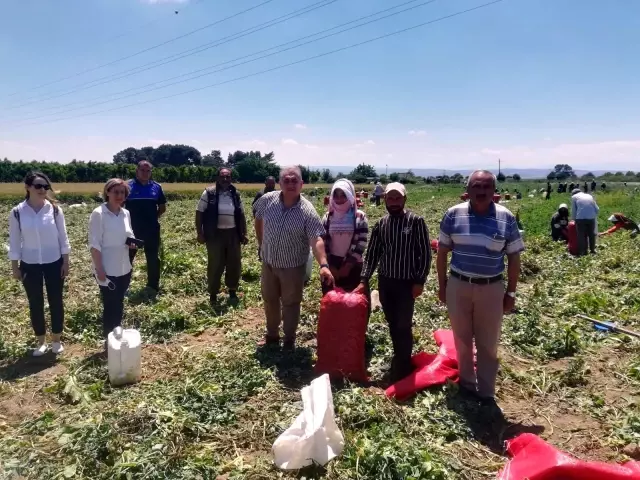 Seyitoğlu: 'Mevsimlik işçiler bizim misafirimizdir' Seyitoğlu: 'Mevsimlik işçiler bizim misafirimizdir'