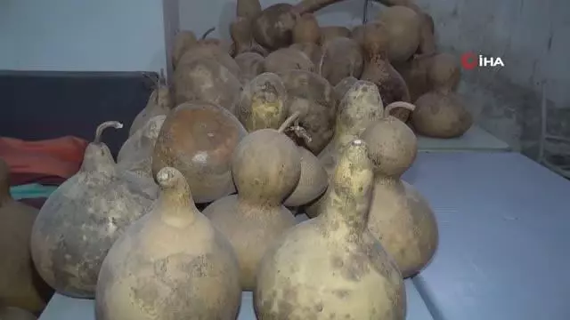Su kabaklarını sanat eserine dönüştürüyor Su kabaklarını sanat eserine dönüştürüyor