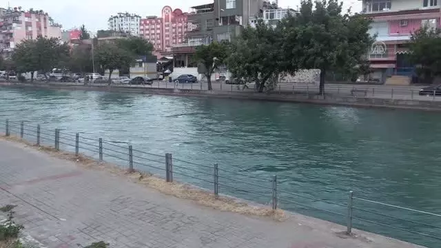 Sulama kanalına düşen kişiyi çevredekiler kurtardı Sulama kanalına düşen kişiyi çevredekiler kurtardı