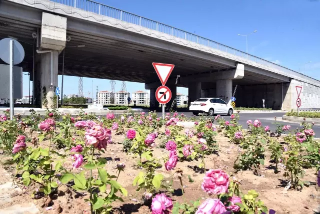 Tekirdağ'dan kısa kısa Tekirdağ'dan kısa kısa
