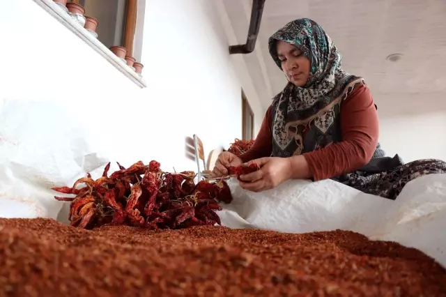 Tescilli 'Kale Biberi' fidanları toprakla buluşturuldu Tescilli 'Kale Biberi' fidanları toprakla buluşturuldu