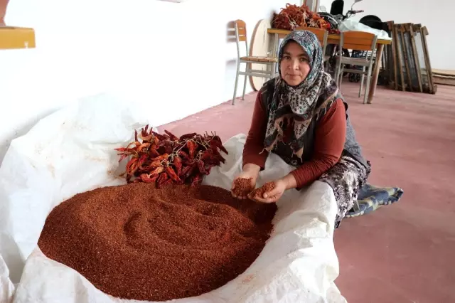 Tescilli 'Kale Biberi' fidanları toprakla buluşturuldu Tescilli 'Kale Biberi' fidanları toprakla buluşturuldu
