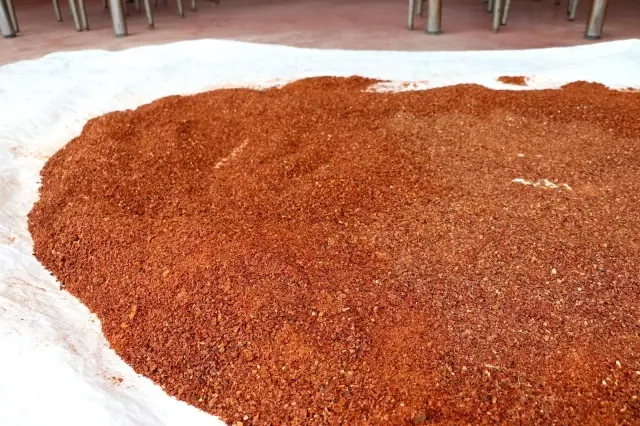 Tescilli 'Kale Biberi' fidanları toprakla buluşturuldu Tescilli 'Kale Biberi' fidanları toprakla buluşturuldu