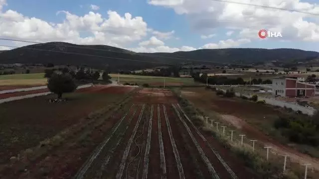 Tescilli 'Kale Biberi' fidanları toprakla buluşturuldu Tescilli 'Kale Biberi' fidanları toprakla buluşturuldu